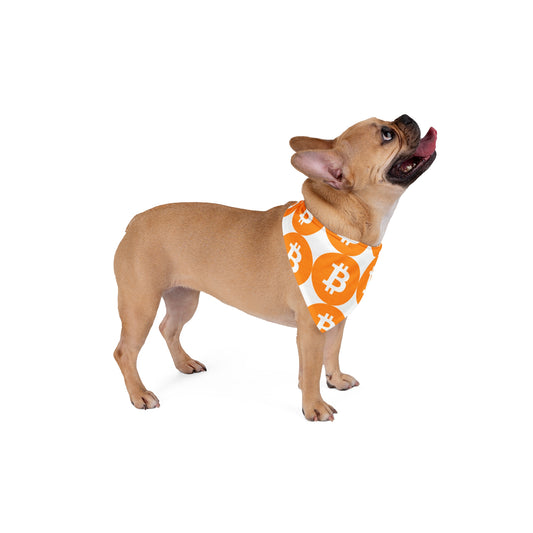 Dog Bitcoin Bandana